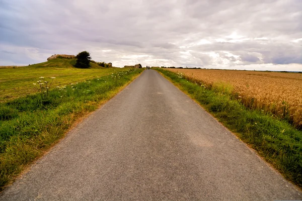 Strada sterrata deserto — Foto Stock