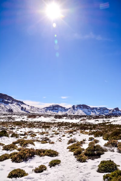 Neve coberta monte teide — Fotografia de Stock