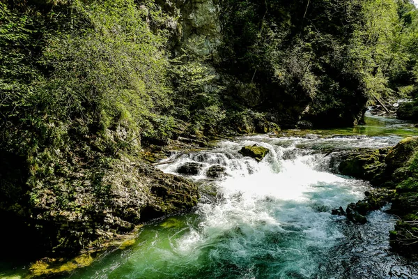 Ormanda Şelale Güzel Dijital Fotoğraf — Stok fotoğraf