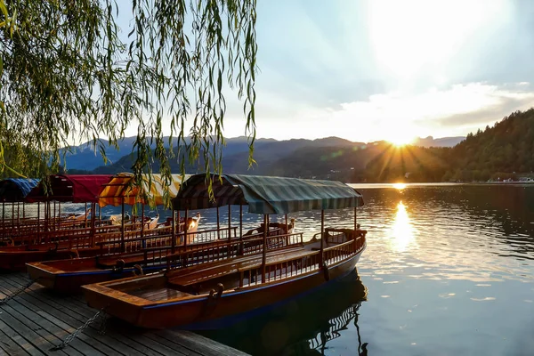 Boat Lake Beautiful Photo Digital Picture — Stock Photo, Image