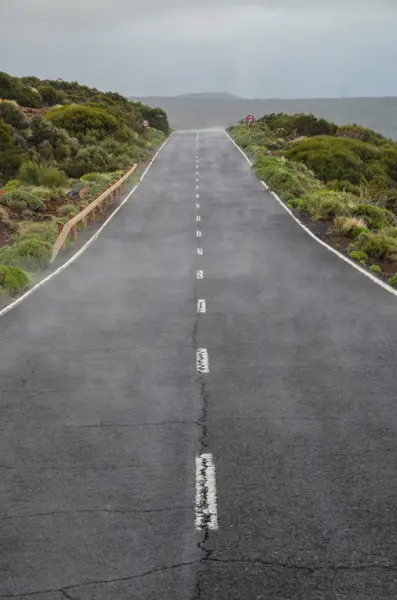 Camino en el día nublado en el Parque Nacional El Teide —  Fotos de Stock