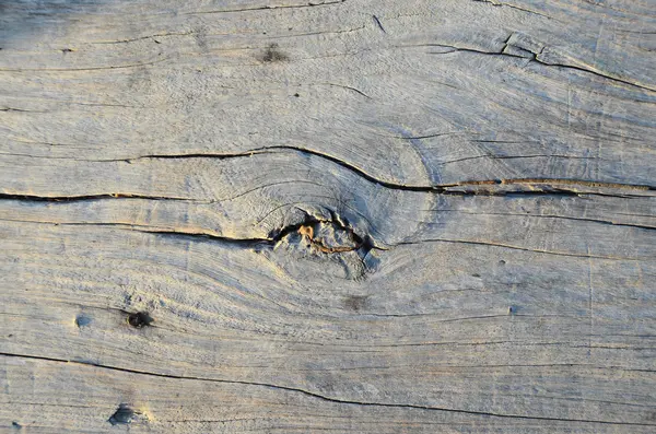 Modèle de fibre rayée en bois brun — Photo