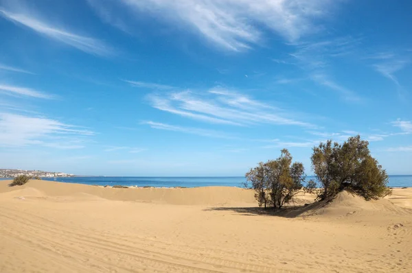 Sand Dune Desert — Stock Photo, Image