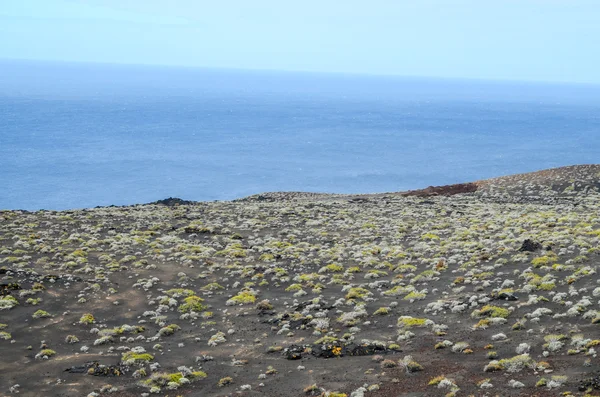 Paysage désert — Photo