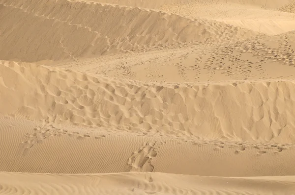 Desierto de dunas de arena — Foto de Stock