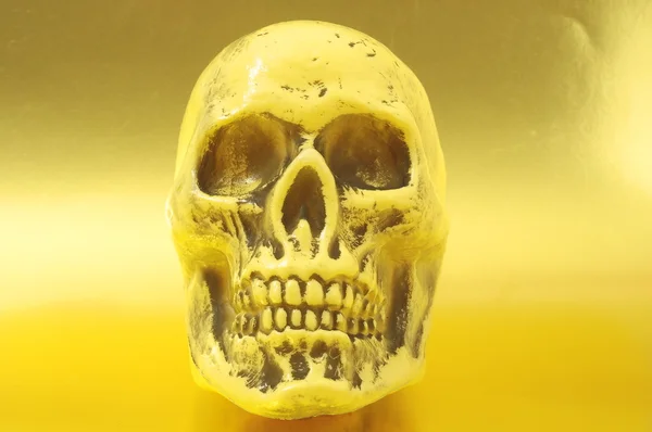 Yellow Skull — Stock Photo, Image