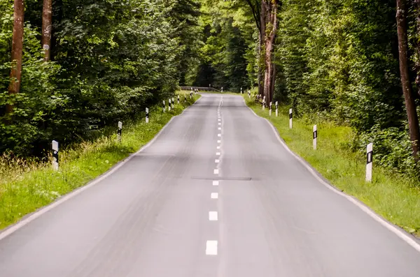 Strada forestale asfaltata europea — Foto Stock