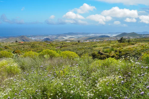 Paisagem Primavera — Fotografia de Stock