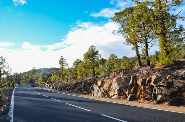 El teide Milli Parkı içinde bulutlu gün yolda — Stok fotoğraf