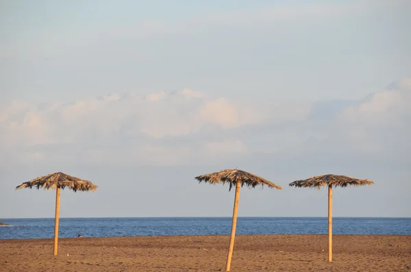 Beach Umbrella — Stock Photo, Image