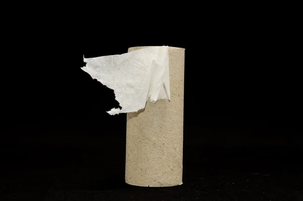 Empty Toilet Paper Roll — Stock Photo, Image