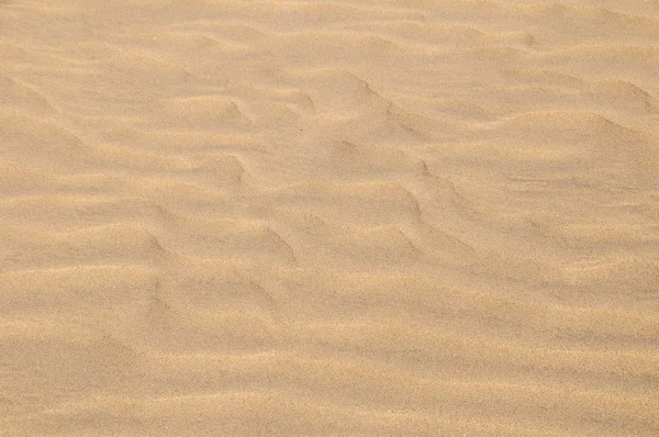 Sand Dune Desert Texture — Stock Photo, Image
