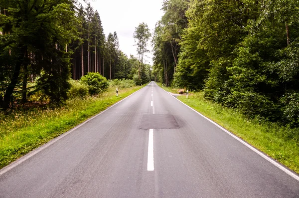 Avrupa asfalt orman yolu — Stok fotoğraf