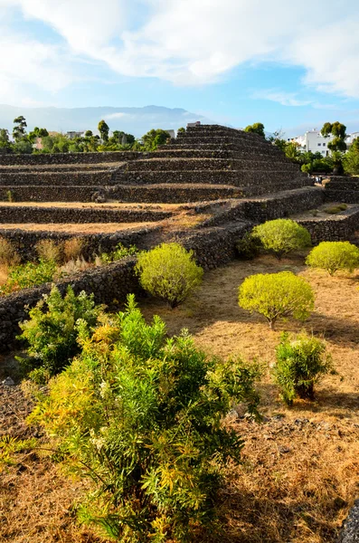 Güimar pyramiderna — Stockfoto