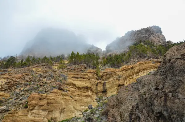 Zamračený den v národním parku el teide — Stock fotografie