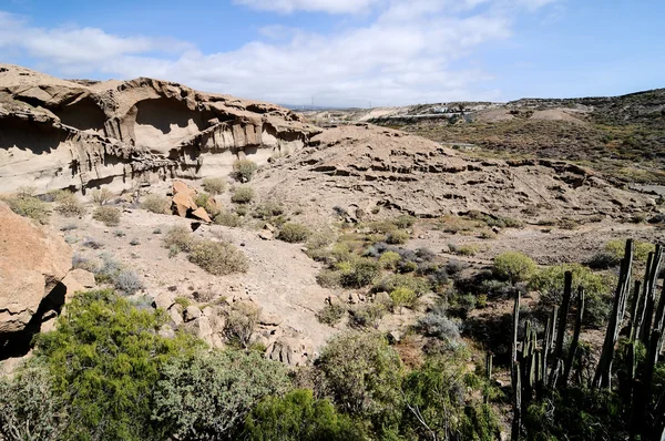 Dry landscape — Stock Photo, Image