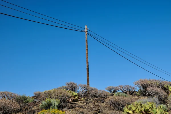 Gamla trä electric pole — Stockfoto