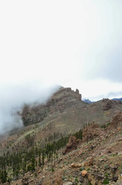 Zamračený den v národním parku el teide — Stock fotografie