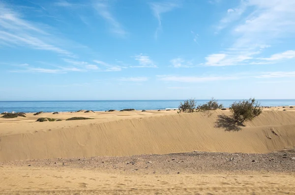 Desierto de dunas de arena —  Fotos de Stock