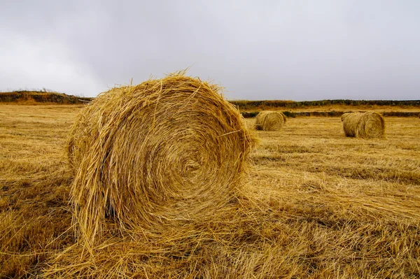 Hay bags — 图库照片