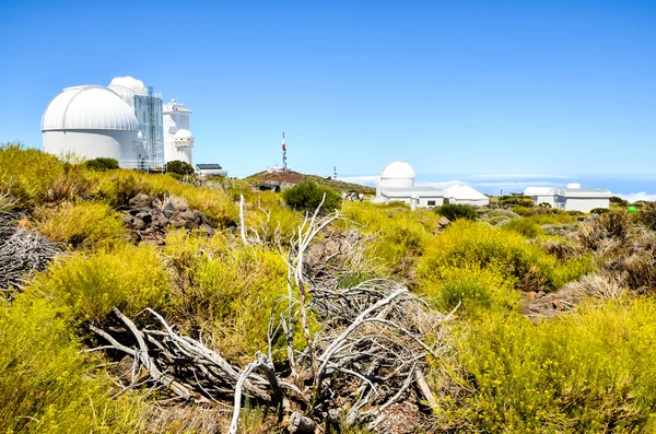 Telescopes of the Teide Astronomical Observatory — Stock Photo, Image
