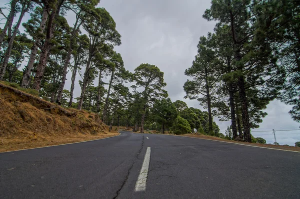 Uzun süre yalnız yol — Stok fotoğraf