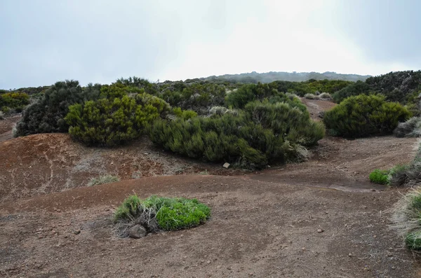 Bulutlu bir günde el teide Milli Parkı — Stok fotoğraf