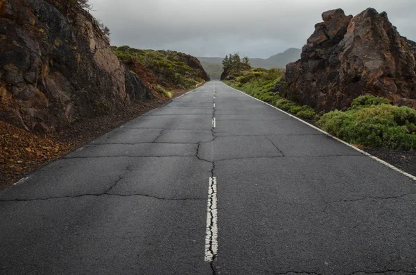 Camino en el día nublado en el Parque Nacional El Teide —  Fotos de Stock