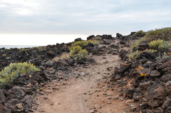 Каменистая дорога в вулканической пустыне — стоковое фото