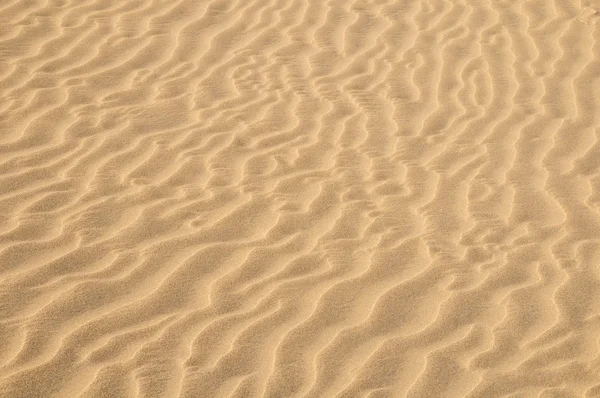 Sand Dune Desert Texture — Stock Photo, Image