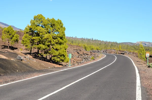 Uzun süre yalnız yol — Stok fotoğraf