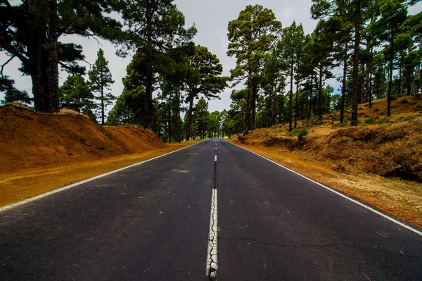 Uzun süre yalnız yol — Stok fotoğraf