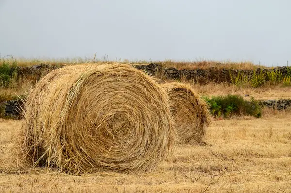 Hay bags — 图库照片