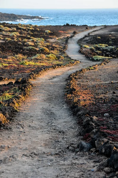 Camino en el desierto volcánico — Foto de Stock