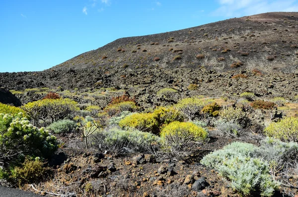 Deserto dramático da paisagem do subconjunto nublado — Fotografia de Stock