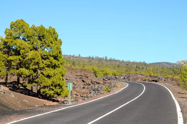 Uzun süre yalnız yol — Stok fotoğraf