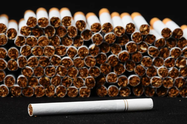 Tobacco Industry — Stock Photo, Image