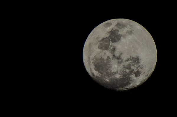 Volle maan — Stockfoto