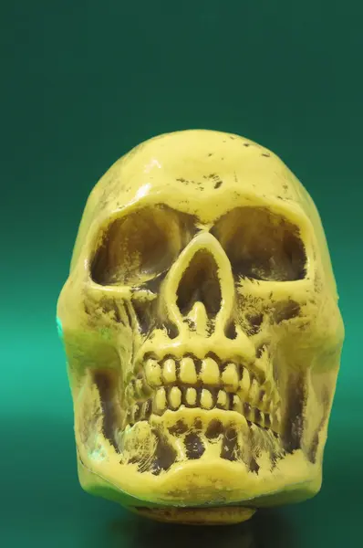 Yellow Skull — Stock Photo, Image