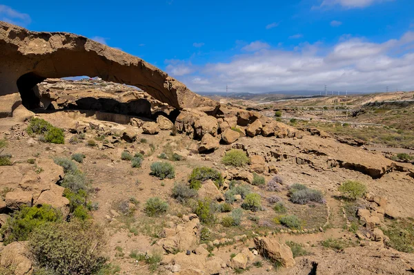 Dry landscape — Stock Photo, Image