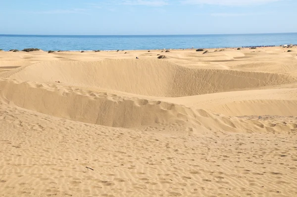 Désert de dunes de sable — Photo