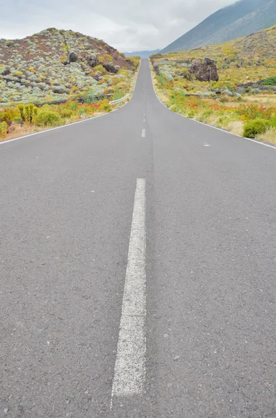 Long Lonely Road — Stock Photo, Image