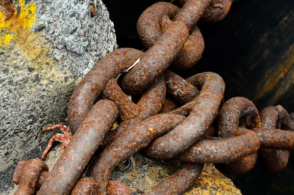 Dettaglio catena in acciaio arrugginito — Foto Stock