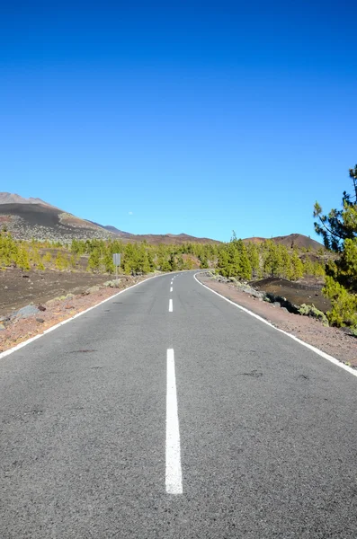 Long Lonely Road — Stock Photo, Image