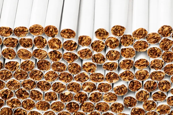 Tobacco Industry — Stock Photo, Image