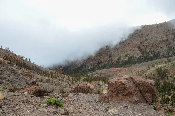 Bewolkte dag in nationaal park el teide — Stockfoto