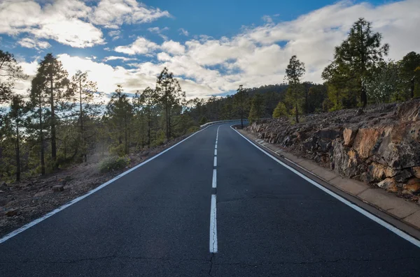 El teide Milli Parkı içinde bulutlu gün yolda — Stok fotoğraf