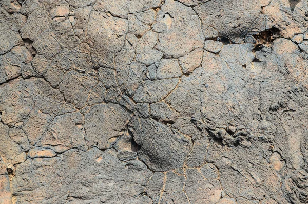 Kuru lav doku — Stok fotoğraf