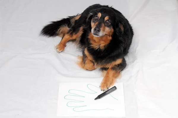 Drawing Dog — Stock Photo, Image