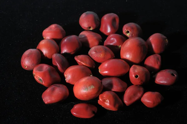 Colored Round Seeds Ready to make Handmade Jewelry — Stock Photo, Image